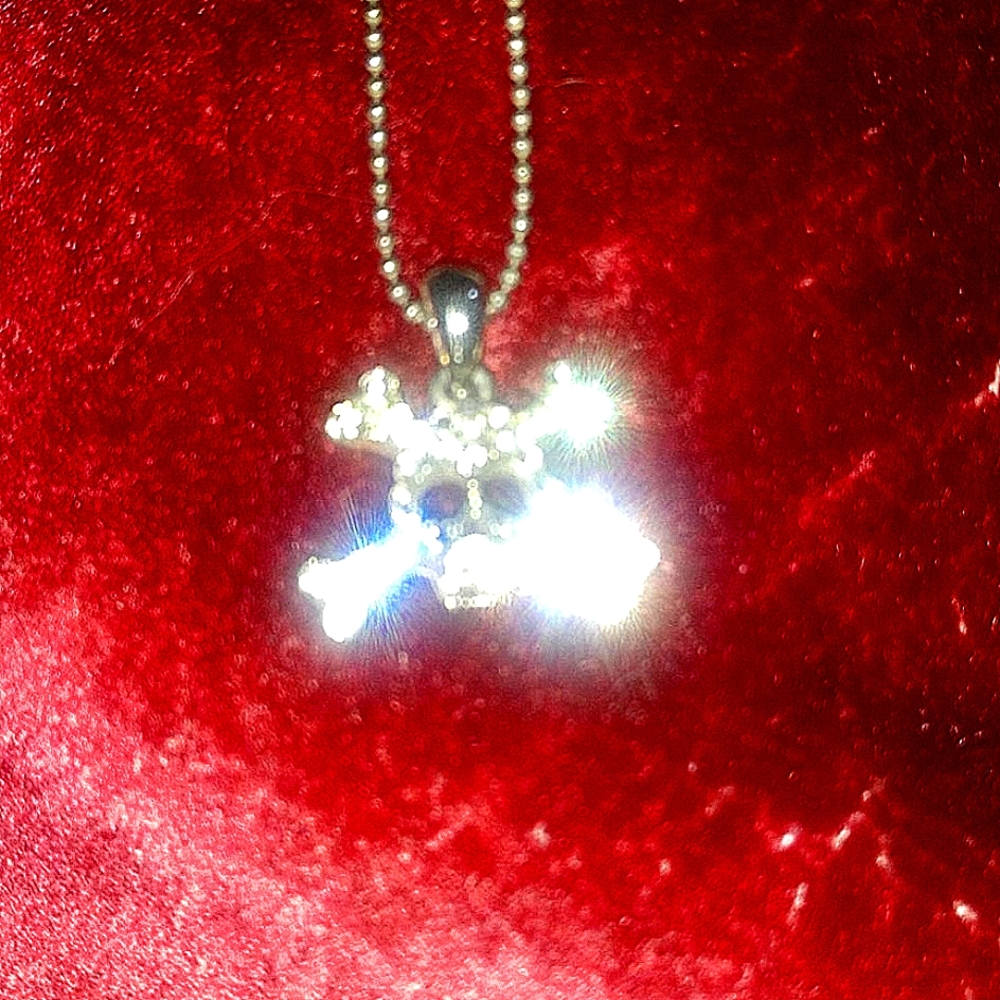Cookie Lee Skull Necklace